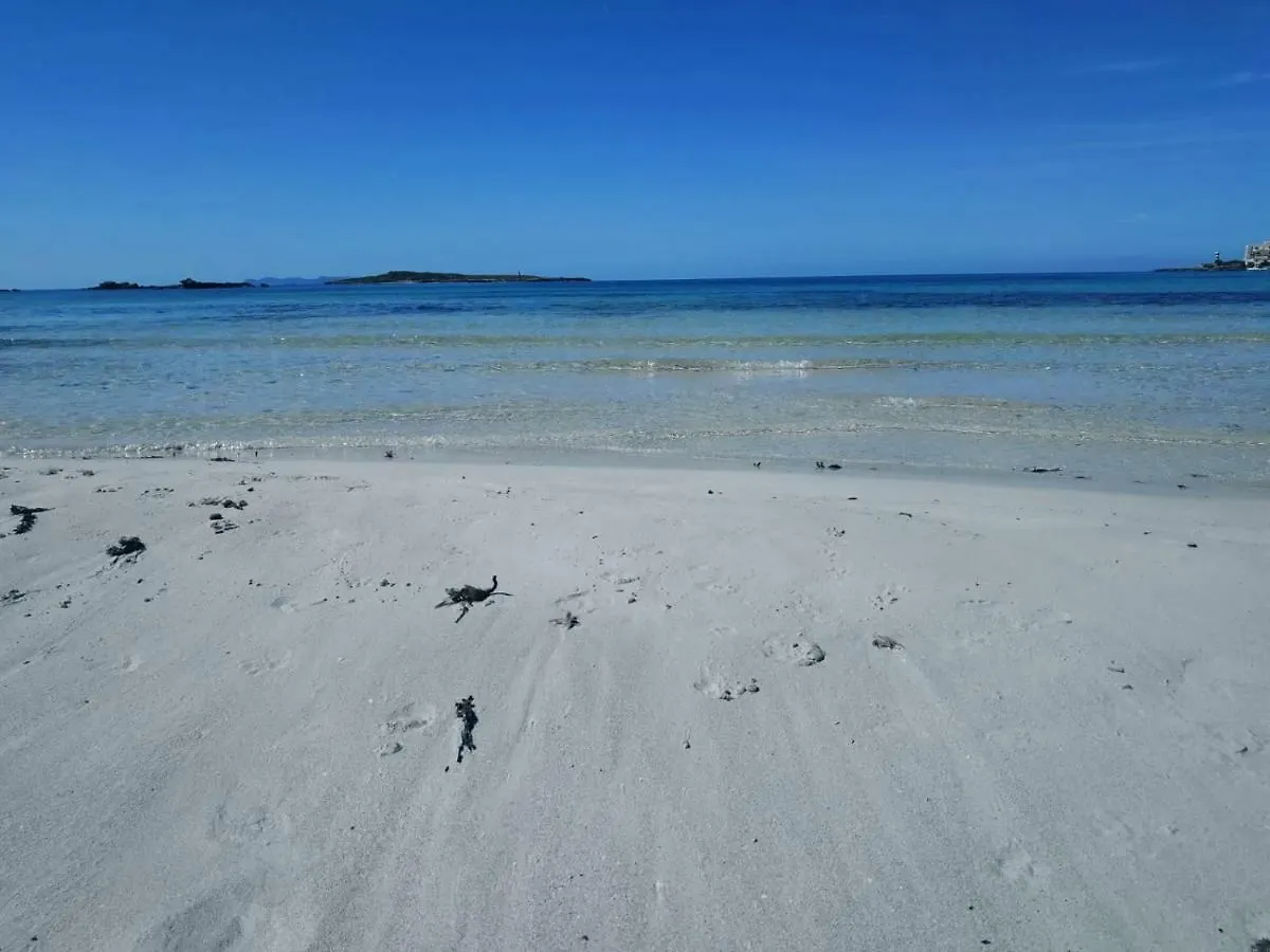 公寓 科洛尼亚圣霍尔迪White - Enjoytheseaincolonia We Rent Only From Sat To Sat公寓